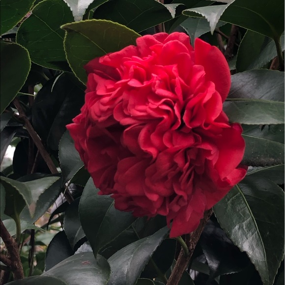 Meet your Posher, Flo - Picture 7 of 13